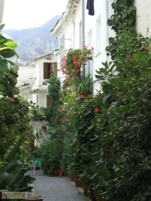Apartmán Vivienda Turistica Arabeluj Guejar Sierra Exteriér fotografie